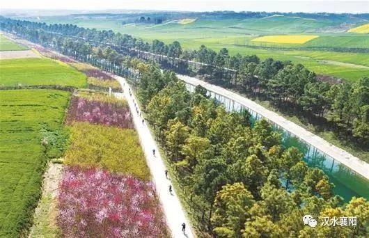 1528939383406400.jpg 微信圖片_20180614091650.jpg